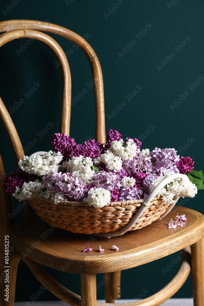 Chair with wicker basket of beautiful fragrant lilac flowers near dark green wall