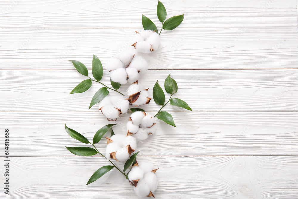 Cotton flowers and plant twigs on white wooden background