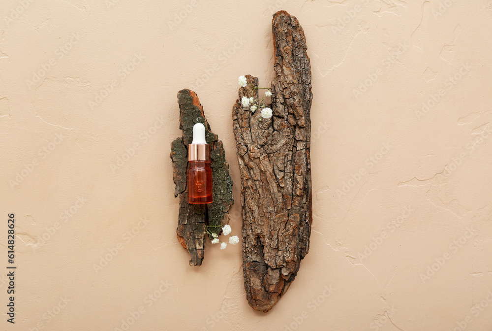 Composition with bottle of essential oil, tree bark and gypsophila flowers on color background