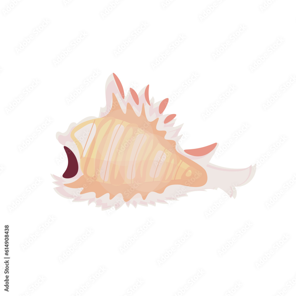 Beautiful sea shell on white background