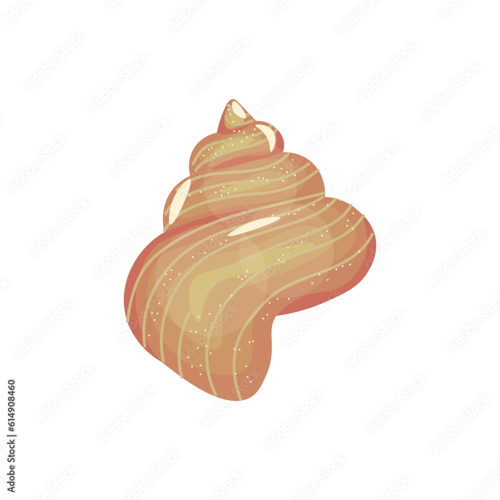 Beautiful sea shell on white background