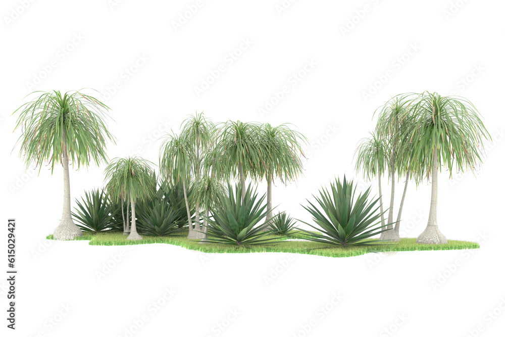 Tropical forest isolated on transparent background. 3d rendering - illustration