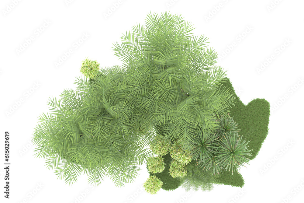 Tropical forest isolated on transparent background. 3d rendering - illustration