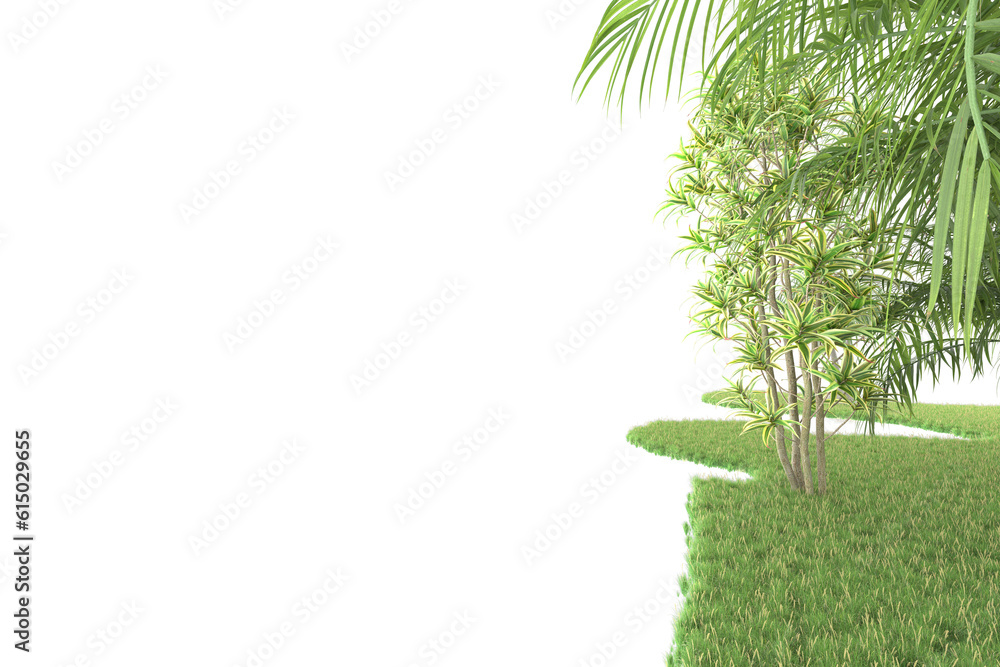 Tropical forest isolated on transparent background. 3d rendering - illustration