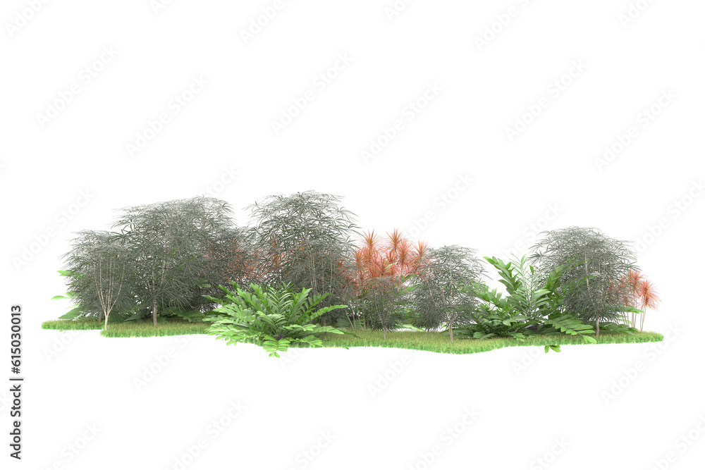 Tropical forest isolated on transparent background. 3d rendering - illustration