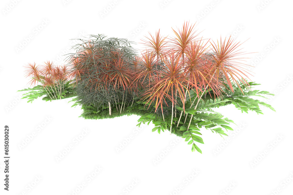 Tropical forest isolated on transparent background. 3d rendering - illustration