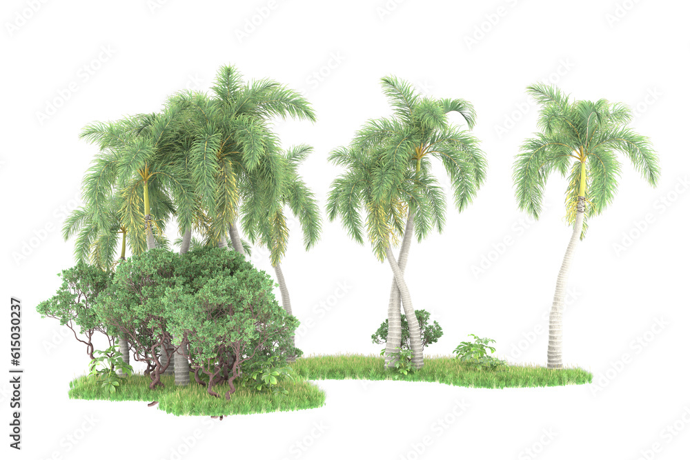 Tropical forest isolated on transparent background. 3d rendering - illustration