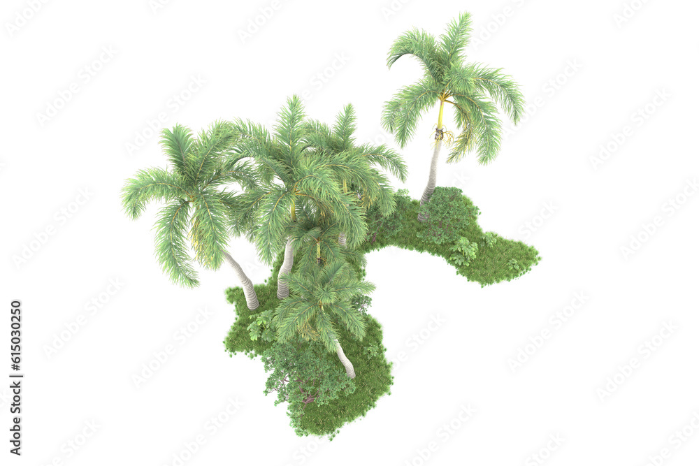 Tropical forest isolated on transparent background. 3d rendering - illustration