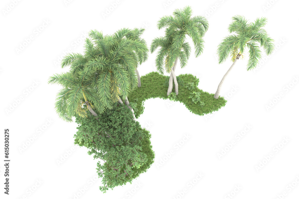 Tropical forest isolated on transparent background. 3d rendering - illustration