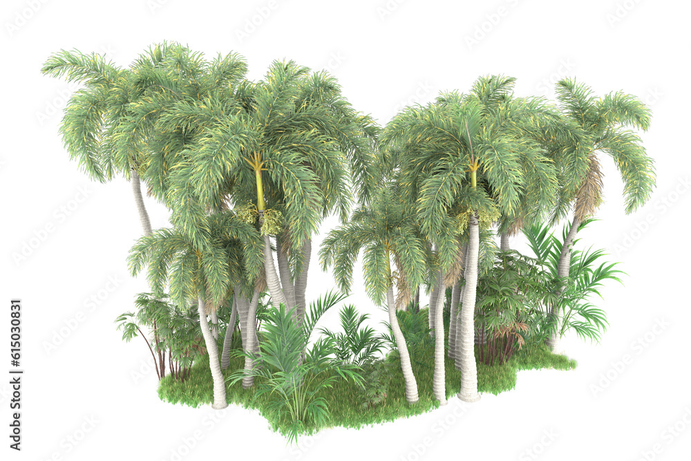 Tropical forest isolated on transparent background. 3d rendering - illustration