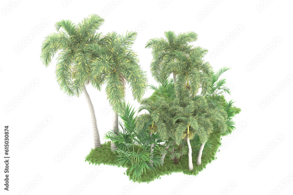 Tropical forest isolated on transparent background. 3d rendering - illustration