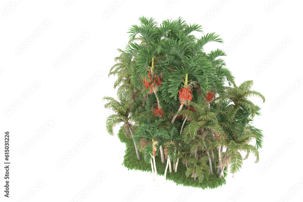 Tropical forest isolated on transparent background. 3d rendering - illustration