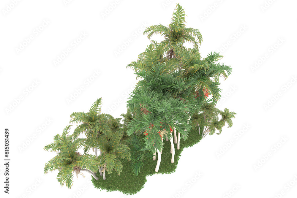 Tropical forest isolated on transparent background. 3d rendering - illustration