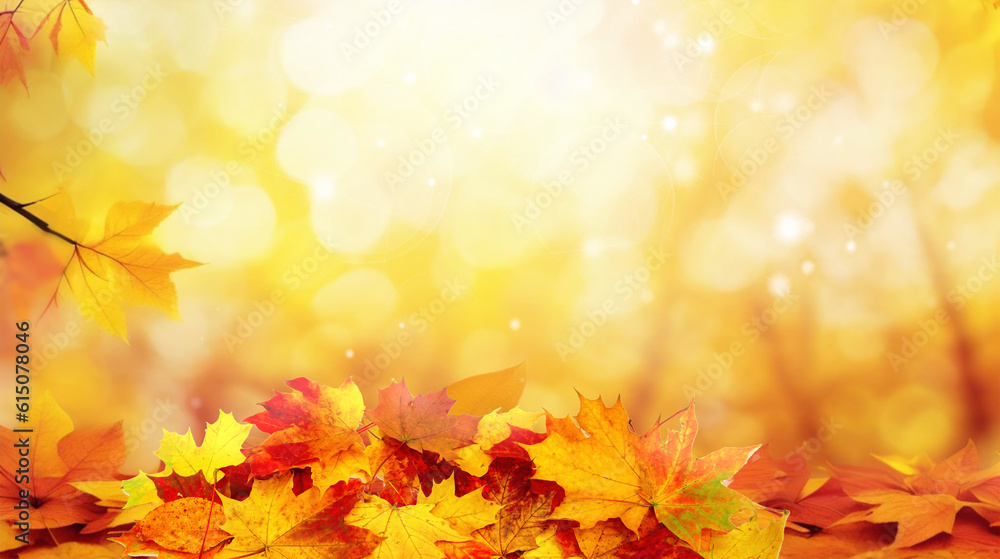 Colorful universal natural autumn background for design with orange leaves and blurred background.