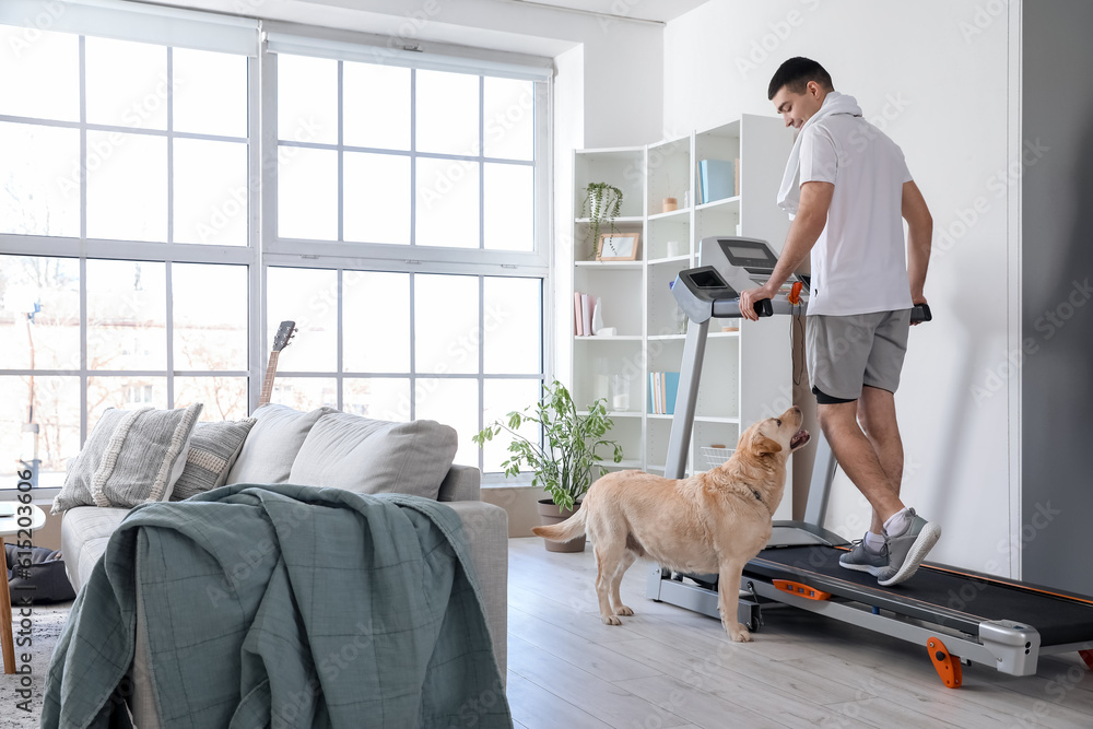 Young man with cute Labrador dog training on treadmill at home