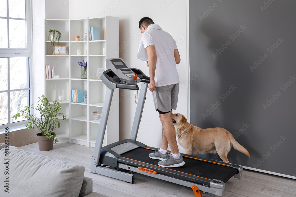 Young man with cute Labrador dog training on treadmill at home