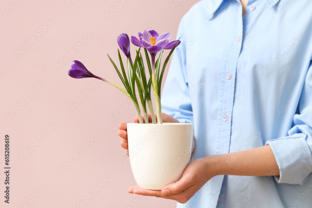 Woman holding pot with beautiful crocus flowers on beige background