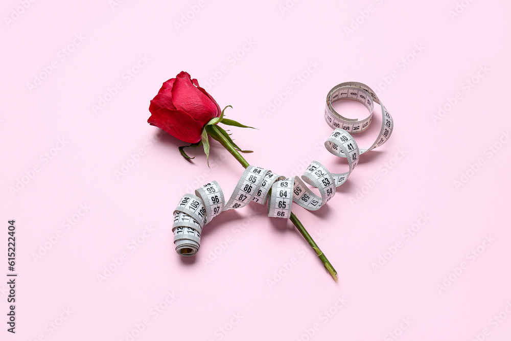 Beautiful rose flower with measuring tape on pink background