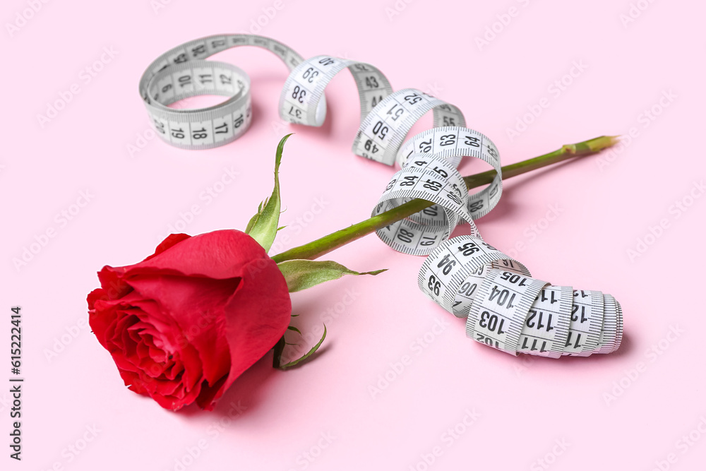 Beautiful rose flower with measuring tape on pink background