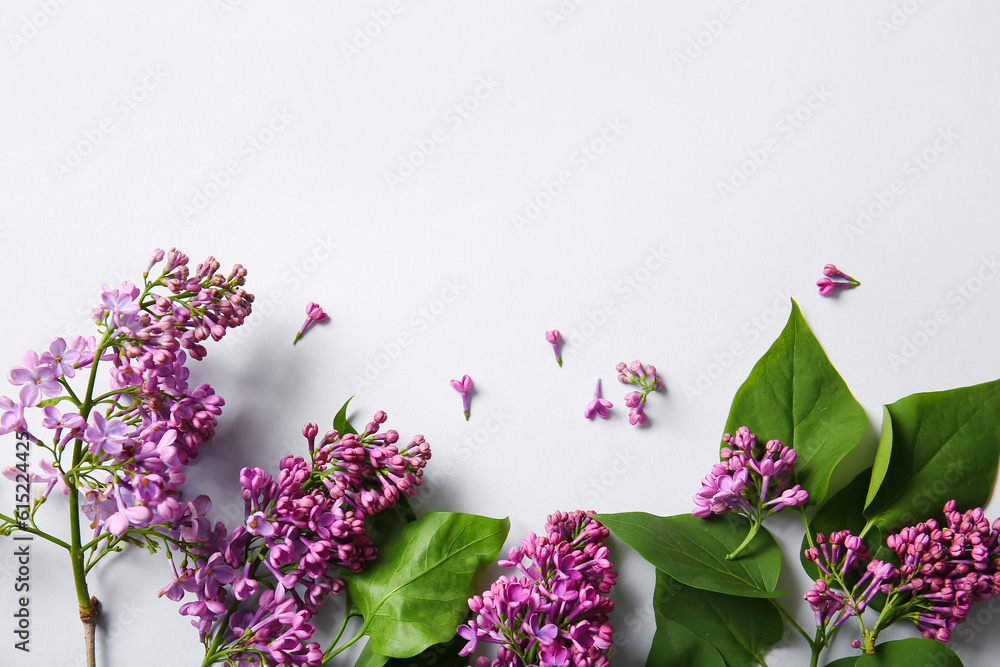 Blooming lilac flowers on grey background