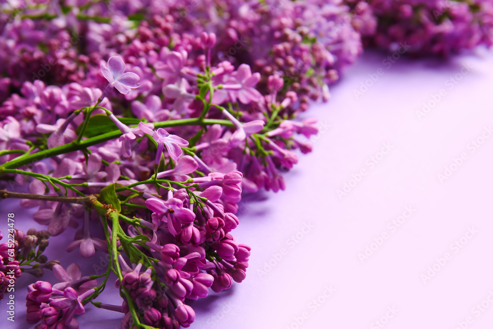 Blooming lilac flowers on color background