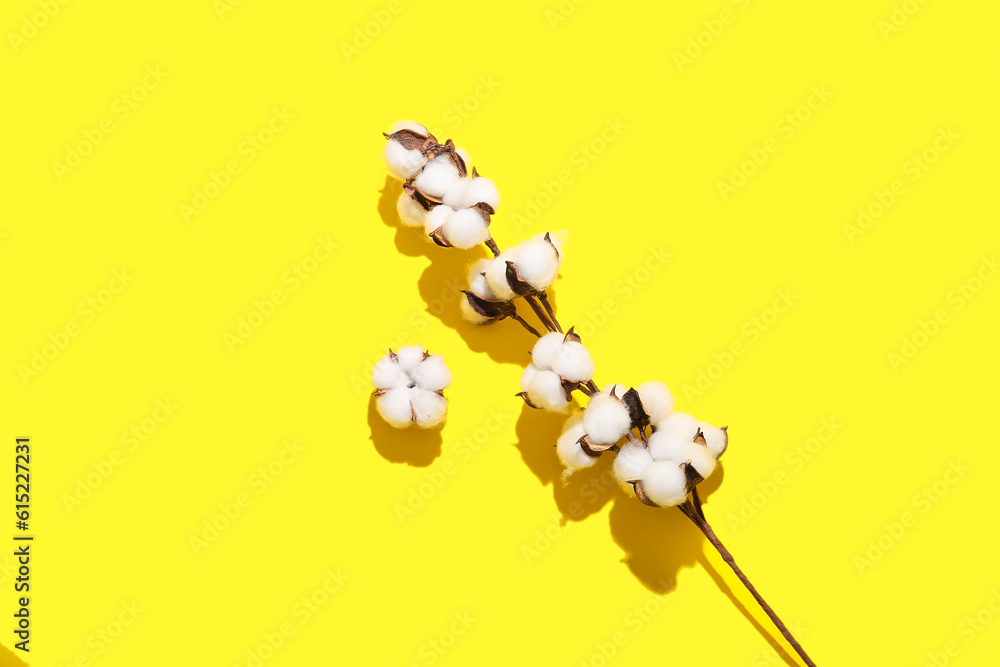 Cotton sprig and flower on yellow background