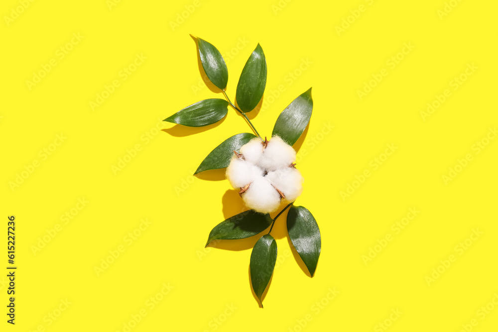 Cotton flower and plant twigs on yellow background