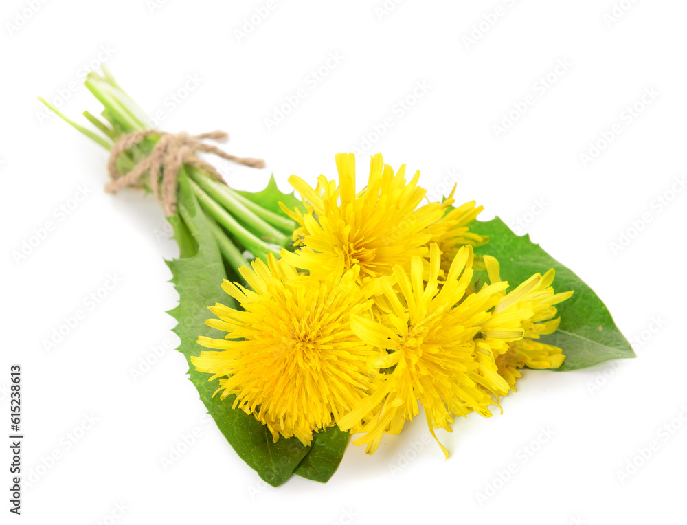 Bouquet of beautiful dandelion flowers on white background