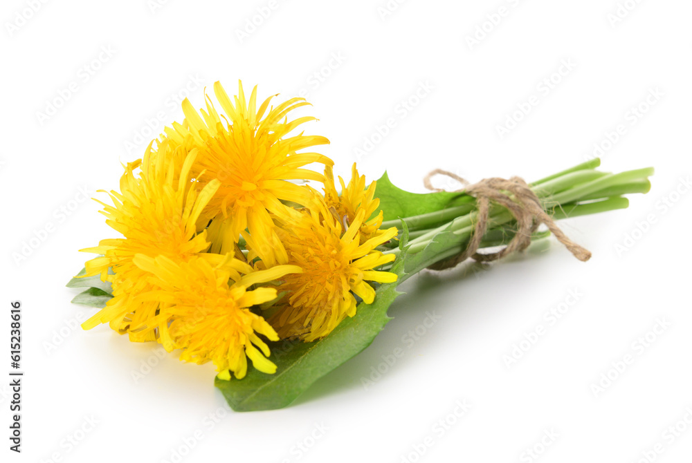 Bouquet of beautiful dandelion flowers on white background