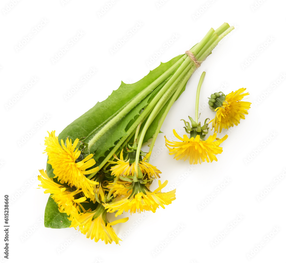 Bouquet of beautiful yellow dandelions isolated on white background