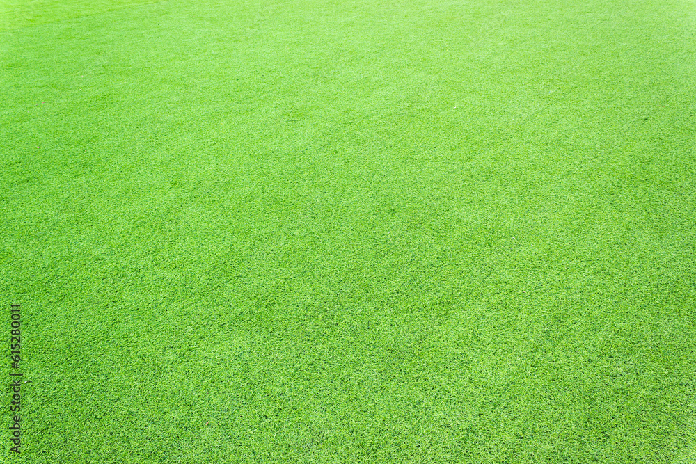 Green artificial field grass background