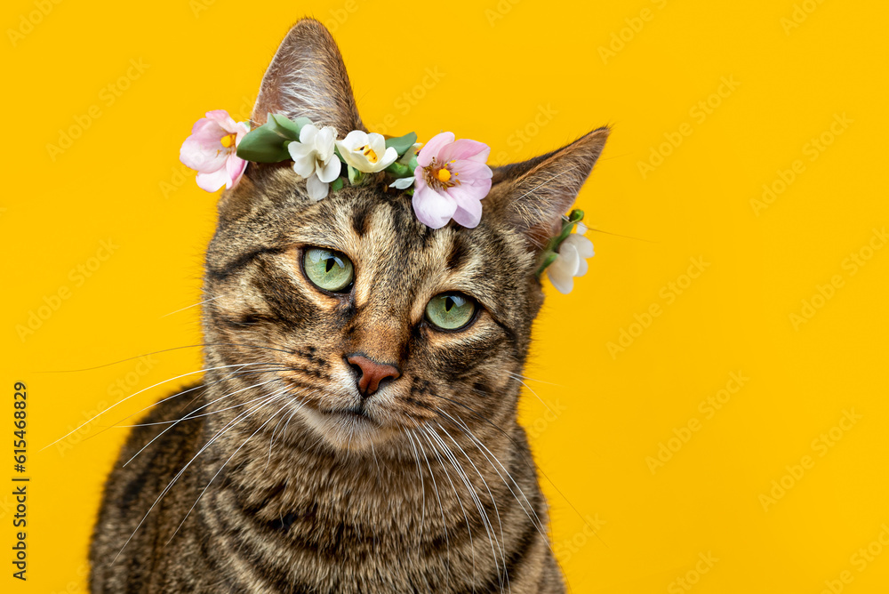 Cute striped cat in a wreath of flowers on a yellow background.