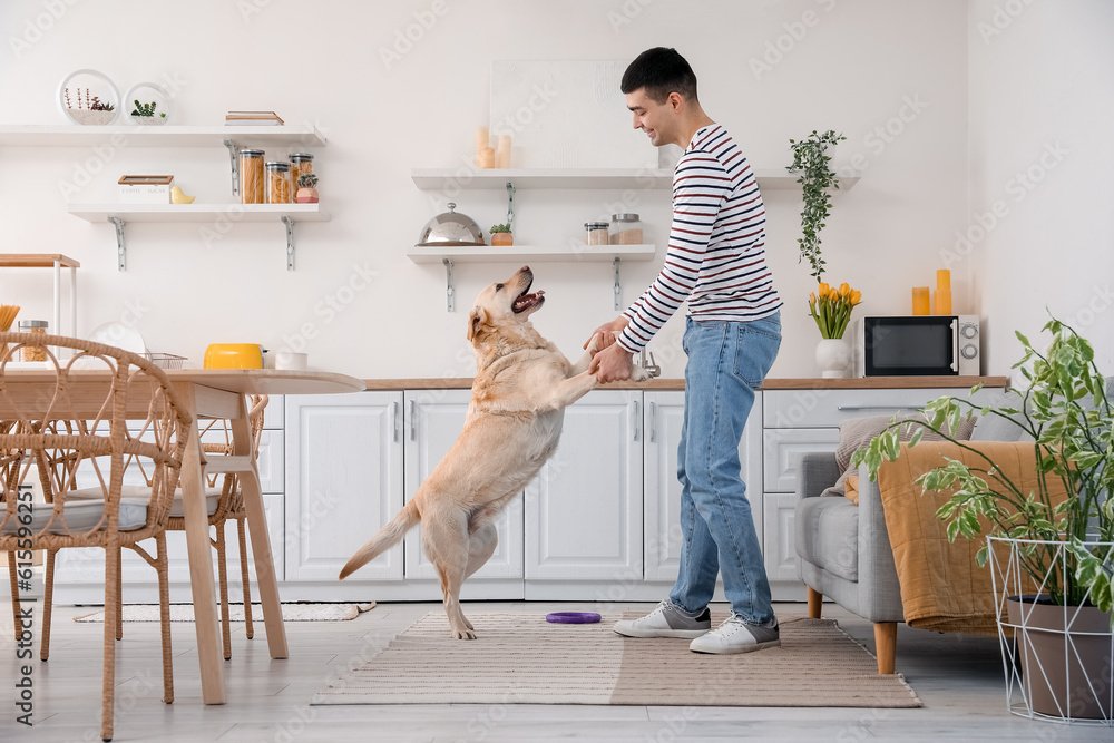 Young man with cute Labrador dog dancing in kitchen