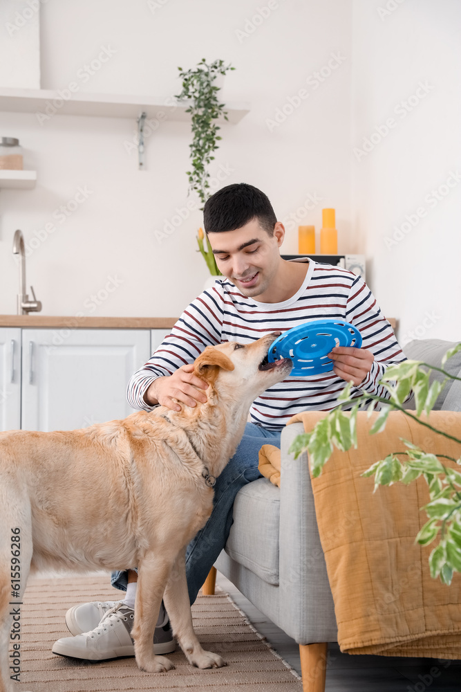 Young man playing with cute Labrador dog in kitchen