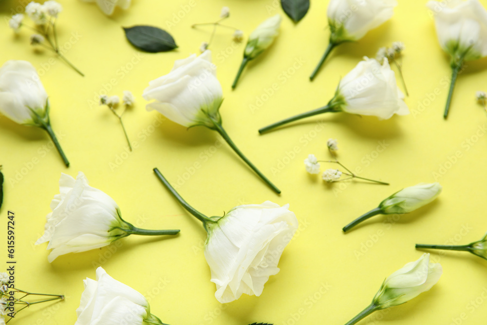 Composition with beautiful eustoma and gypsophila flowers on yellow background