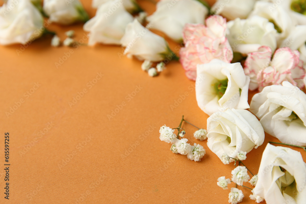 Composition with beautiful white flowers on color background, closeup