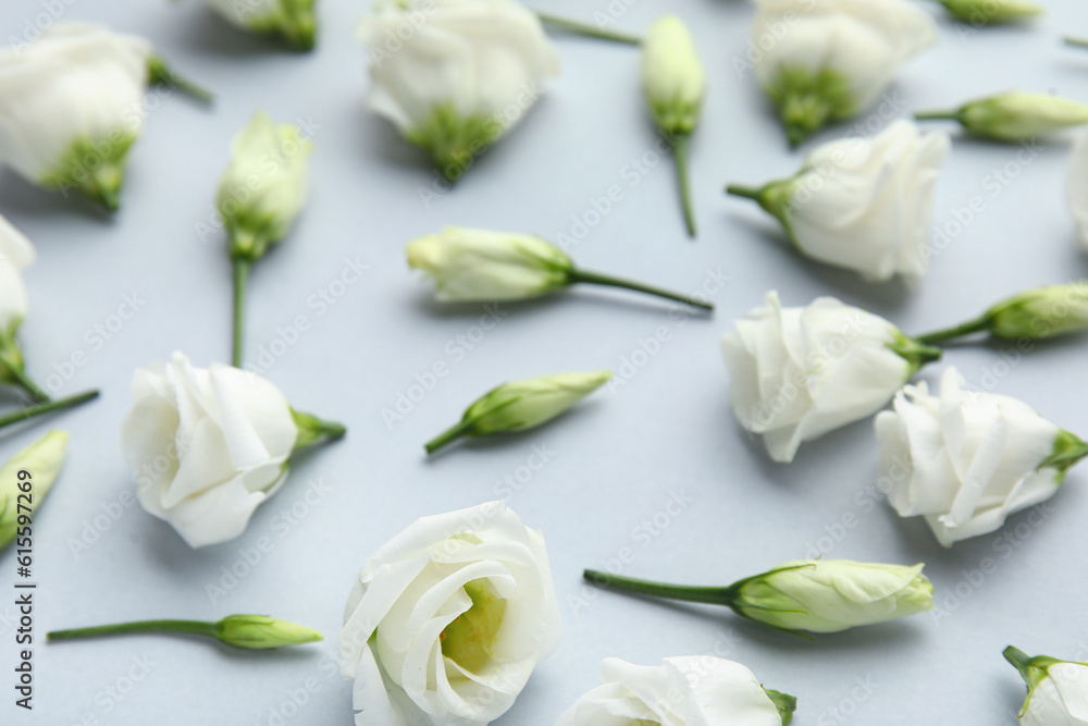 Composition with delicate eustoma flowers on light background, closeup