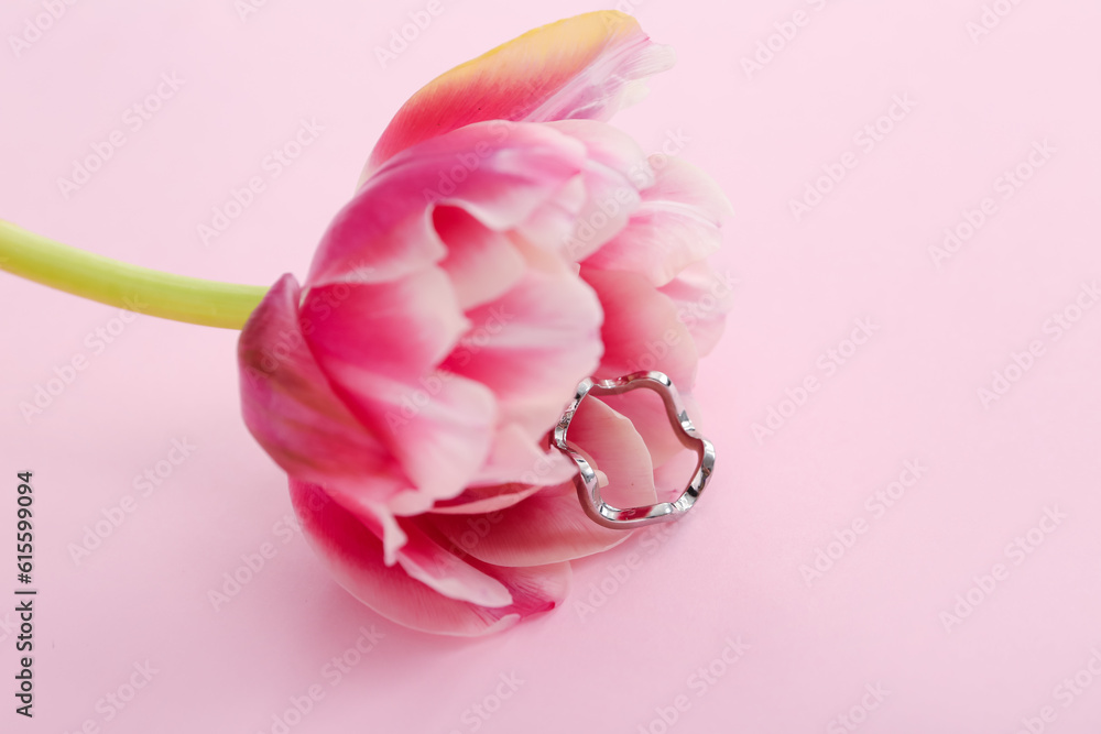 Tulip with silver ring on pink background