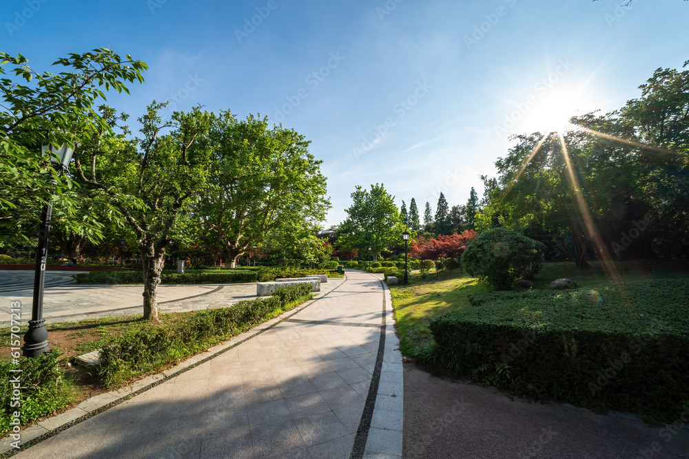 Outdoor city garden landscape street view