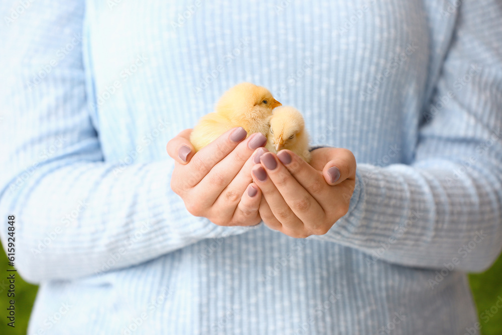 Beautiful young woman holding cute yellow chicks