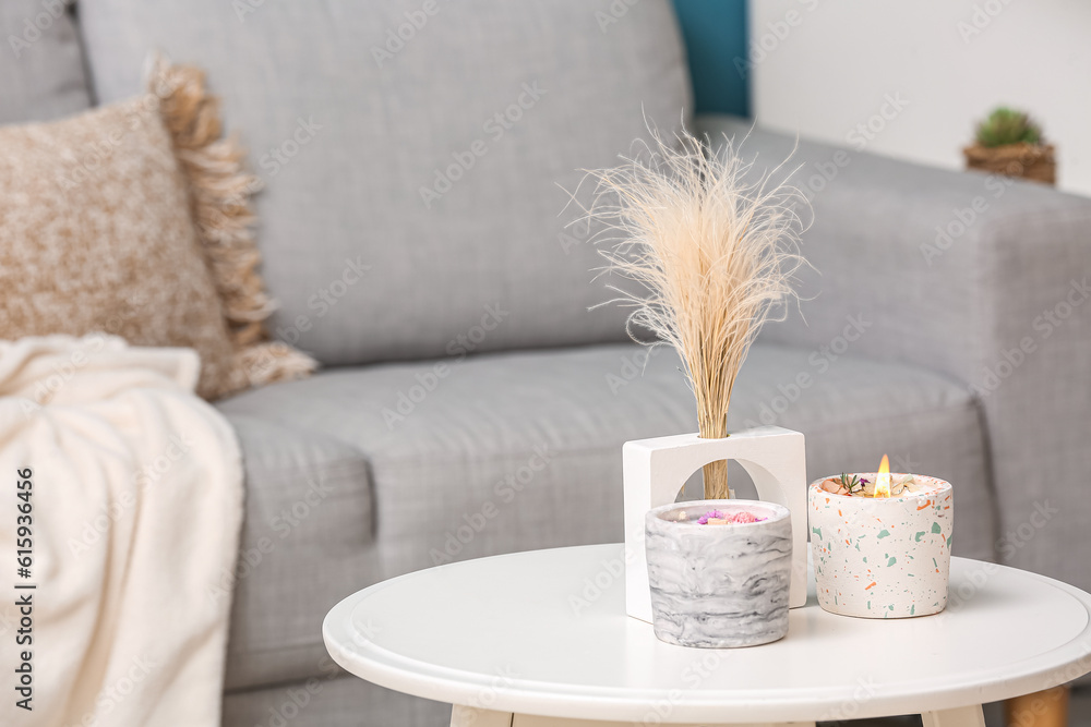 Interior of stylish living room with sofa, table, pampas grass and candles