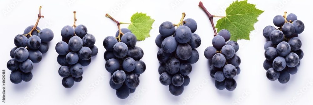 Set of Ripe grapes with leaves isolated on white background.  Generative Ai