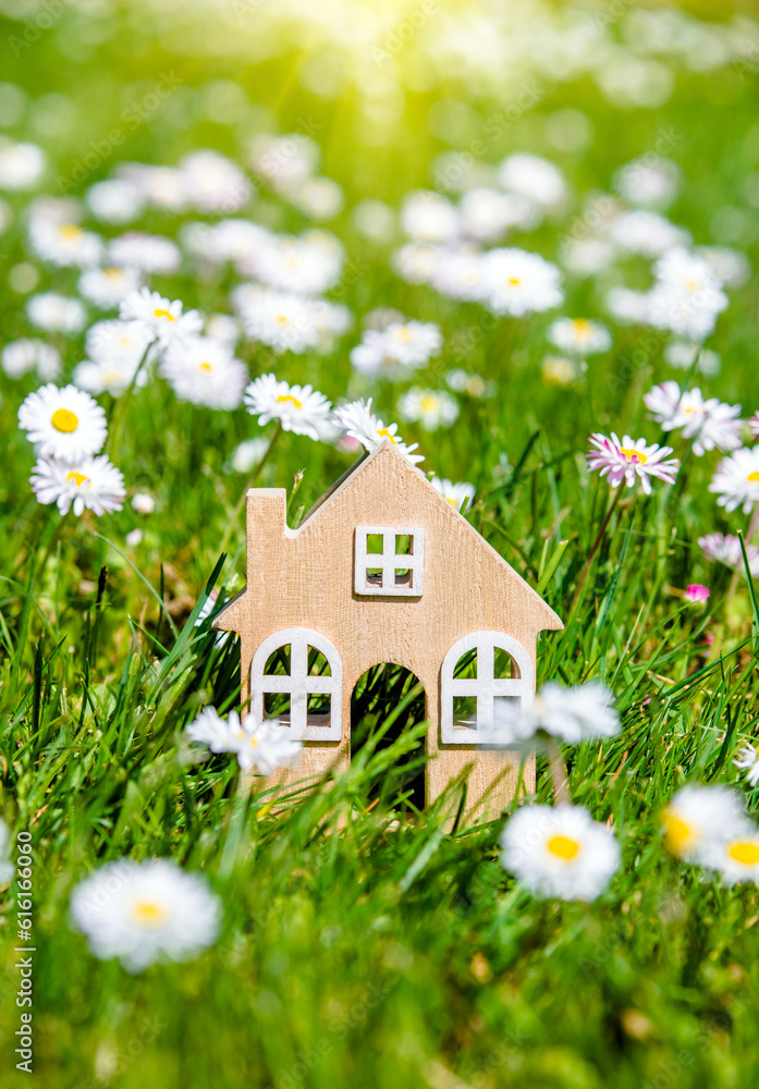 The symbol of the house stands among white daisies 