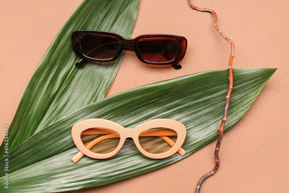 Stylish sunglasses with palm leaves and tree branch on brown background