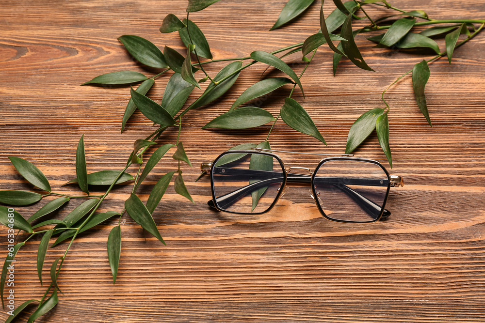 Stylish eyeglasses with plant branches on wooden background