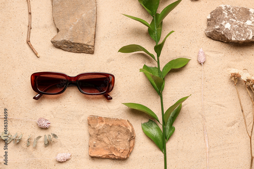 Sunglasses with rocks, dried flowers and plant branch on sand