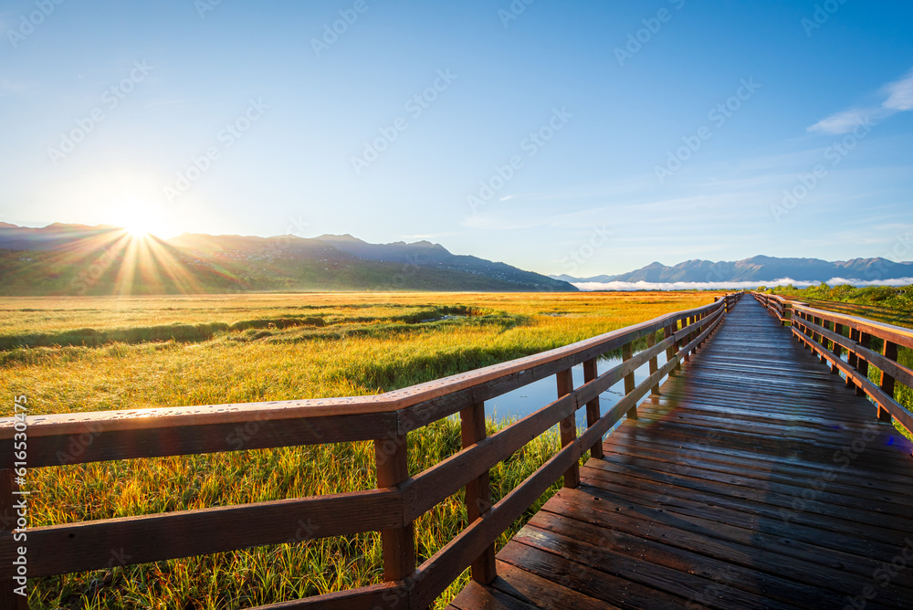 A wooden boardwalk in Potter Marsh Bird Sanctuary, Alaska.