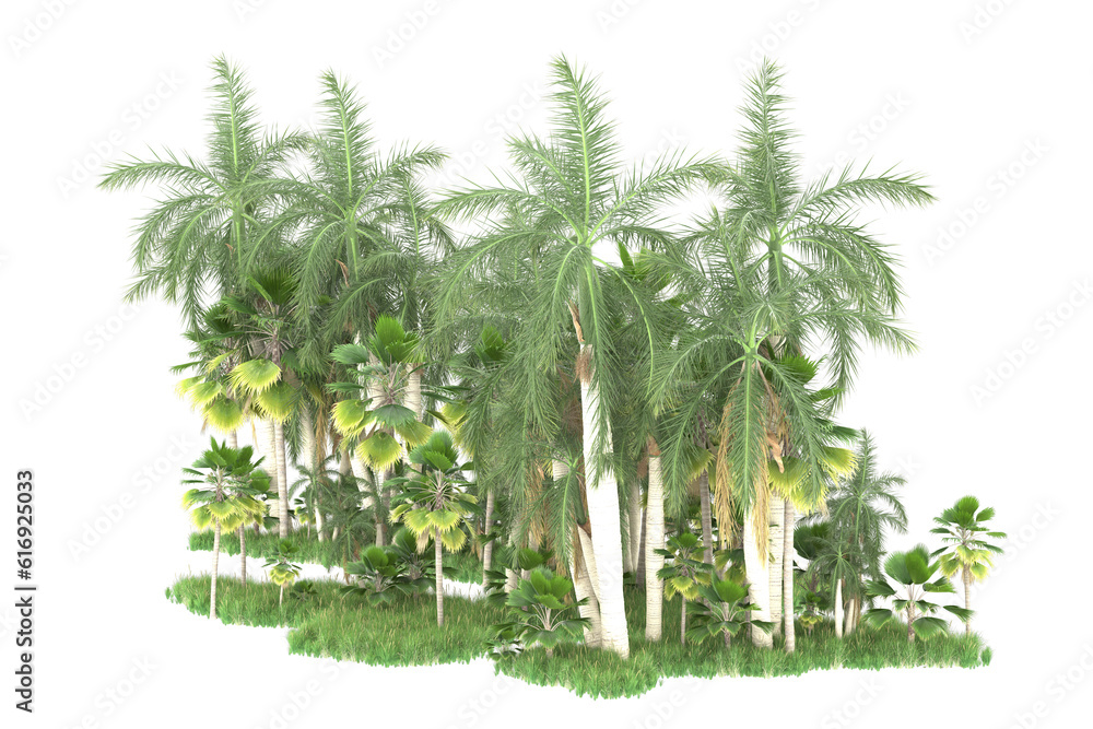 Palm trees isolated on transparent background. 3d rendering - illustration