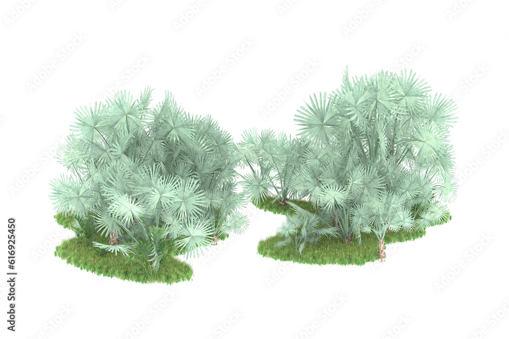 Palm trees isolated on transparent background. 3d rendering - illustration