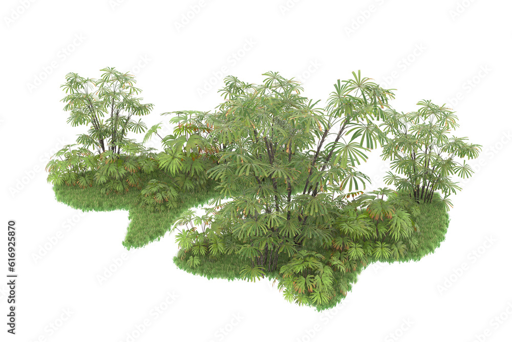 Tropical forest isolated on transparent background. 3d rendering - illustration